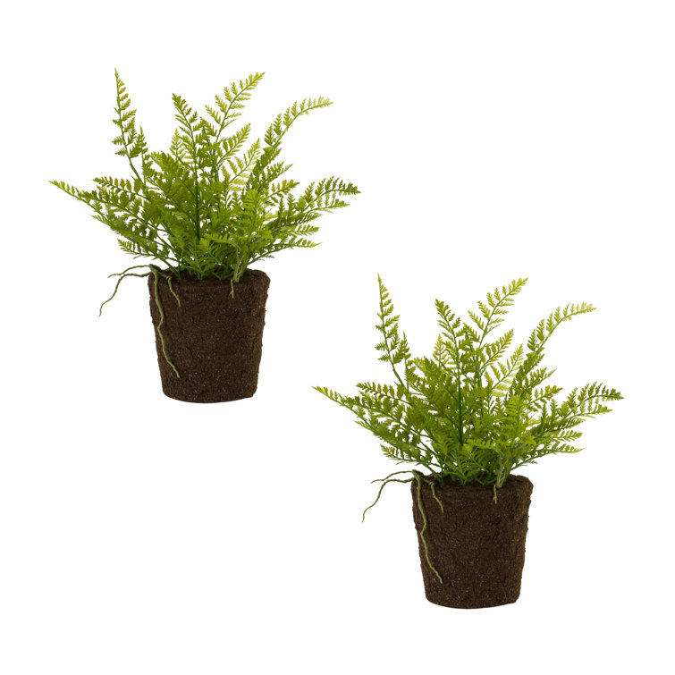 Primrue 15'' Faux Fern Plant in Pot Wayfair